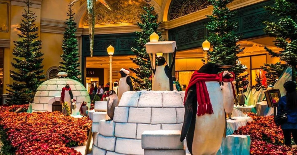 10 lucruri de facut de Craciun daca nu sarbatoresti, dar totusi te simti festiv