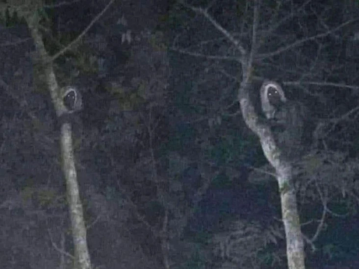 Cum sa coborati vrajitoarele cu rugaciunea: „Cele 12 adevaruri ale lumii”