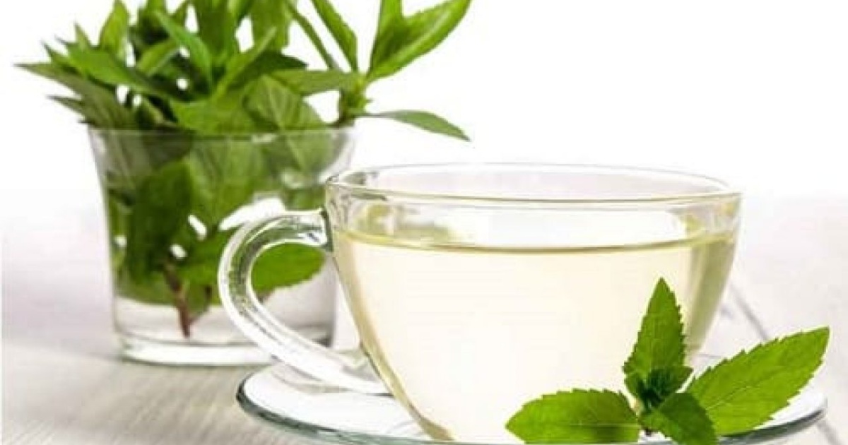 Cum se prepara epazotul si pentru ce se utilizeaza?