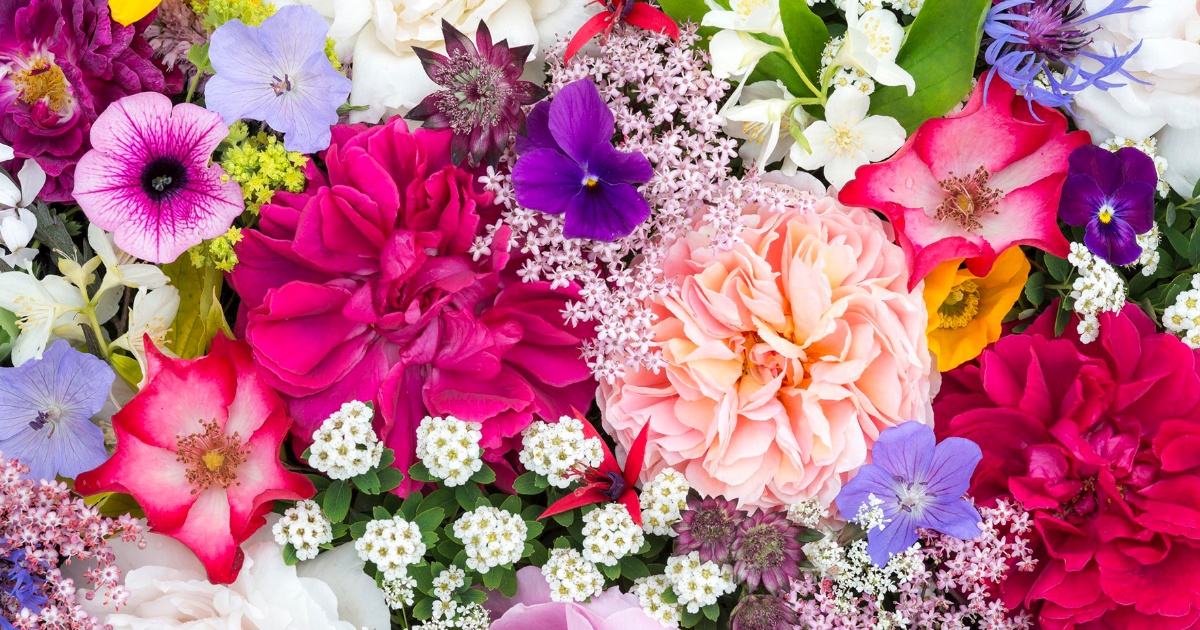 Cunoaste semnificatia florii care reprezinta luna ta de nastere