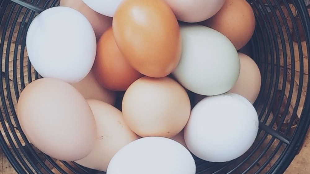 Oua brune vs oua albe, care este diferenta?