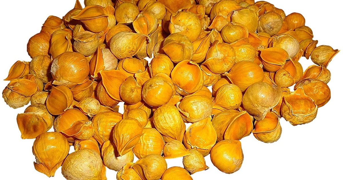 Pentru ce este usturoiul japonez?