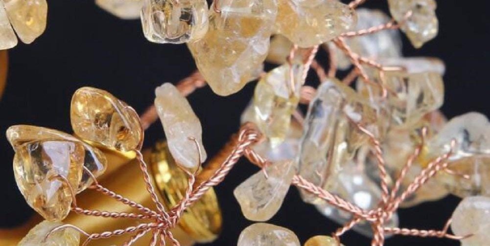 5 copaci norocosi pentru a atrage avere si prosperitate in casa ta